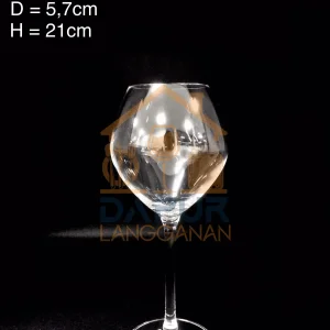 Wine Glass - Wine Magnifique
